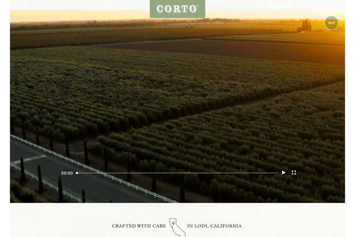 Fall Harvest website preview